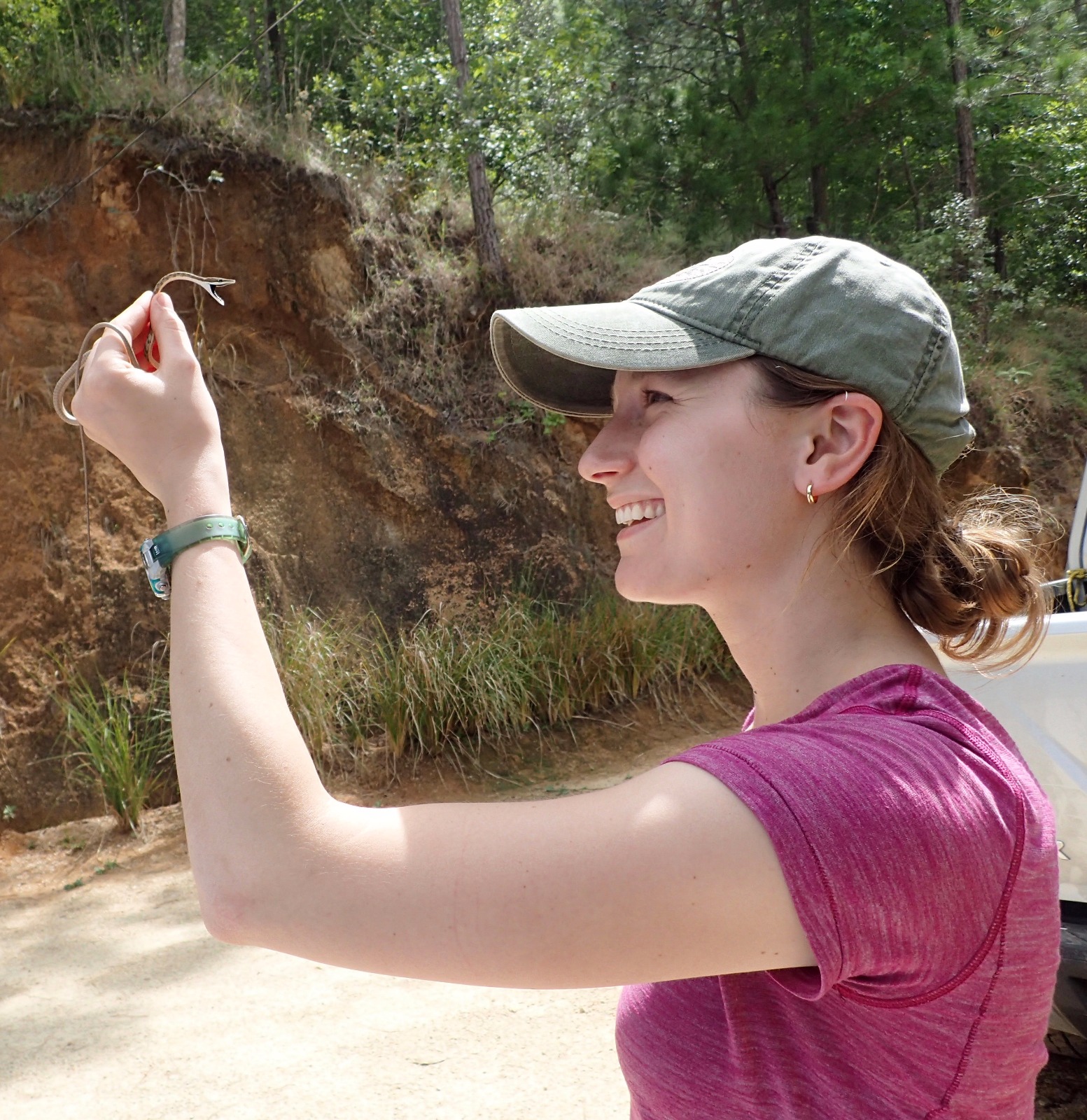 This was my first interaction with a brown vine snake, one of my most coveted species, in the northern highlands of Nicaragua. We found many more on the trip, but this was my favorite!